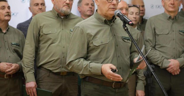 Lasy Państwowe tworzą Nadleśnictwa Puszczańskie, by ochronić najcenniejsze lasy