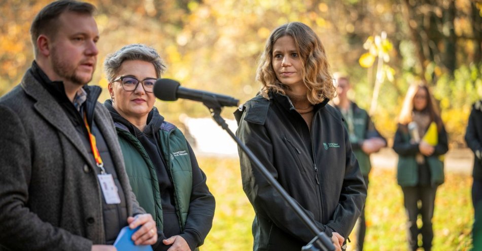 zdjęcie: Coraz więcej zieleni na Polu Mokotowskim / fot. nadesłane
