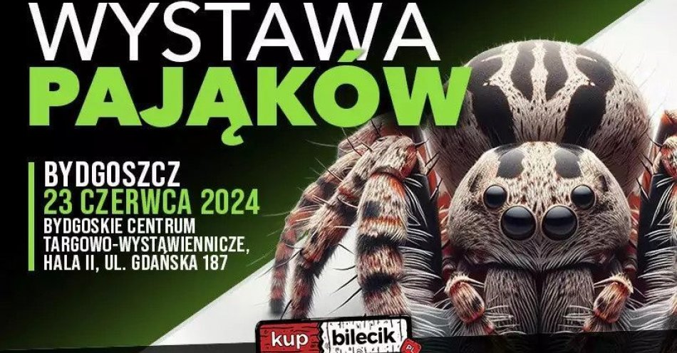 zdjęcie: Wystawa Pająków! / kupbilecik24.pl / Wystawa Pająków!