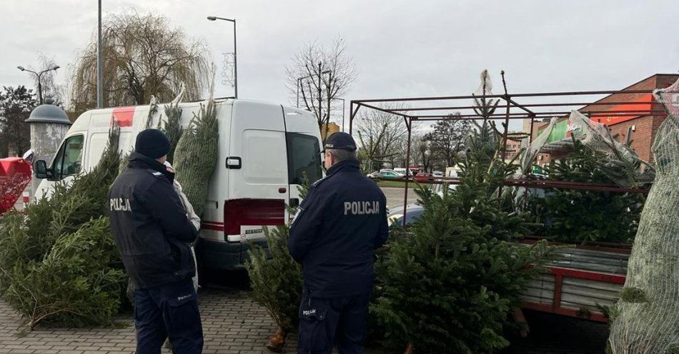 zdjęcie: Choinki pod kontrolą / fot. KPP Inowrocław