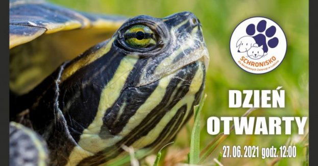 „Odpowiedzialni za naturę” – Dzień Otwarty w Schronisku dla Bezdomnych Zwierząt