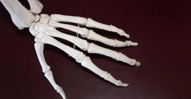 IPN czeka na wyniki badań szczątków odnalezionych na terenie Zamku Lubomirskich