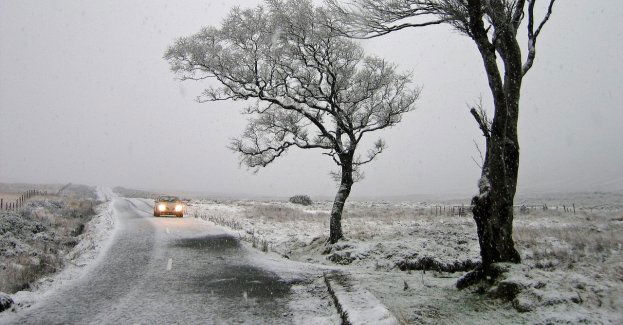 Ostrzeżenie IMGW pierwszego stopnia o silnym wietrze w regionie