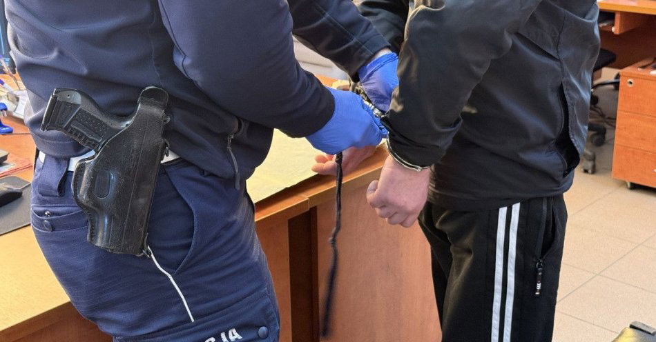 zdjęcie: Deportowano kierowcę stwarzającego zagrożenie na drodze / fot. KPP Szamotuły