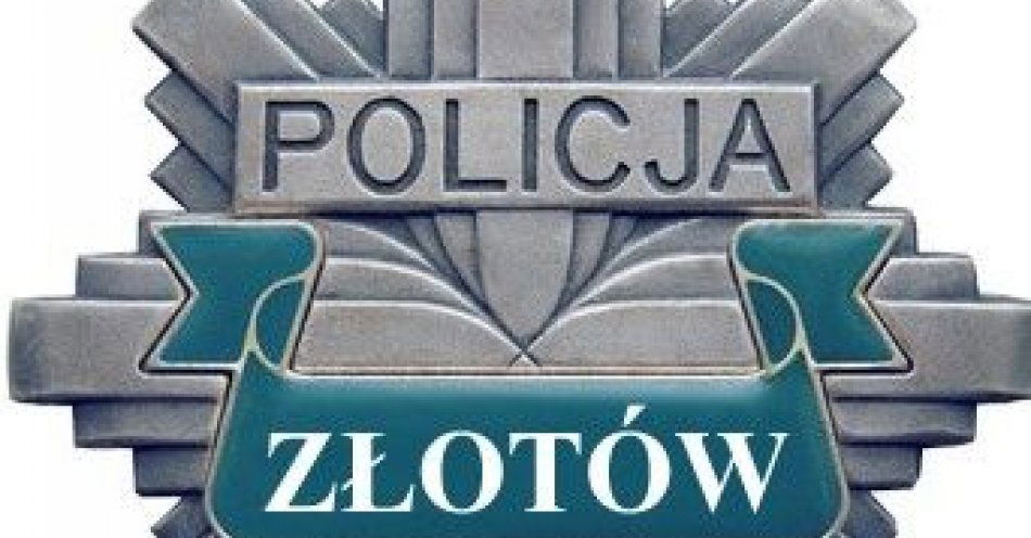 zdjęcie: Dzień Wagarowicza / fot. KPP Złotów