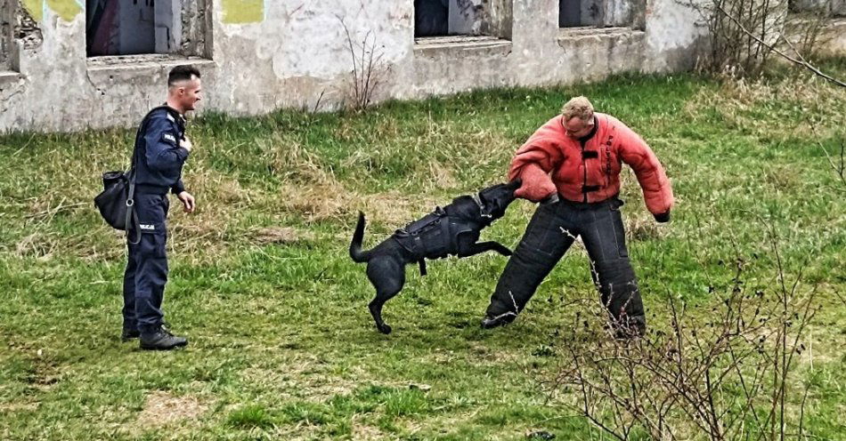 zdjęcie: Nie tylko policjanci się szkolą / fot. KMP Łomża