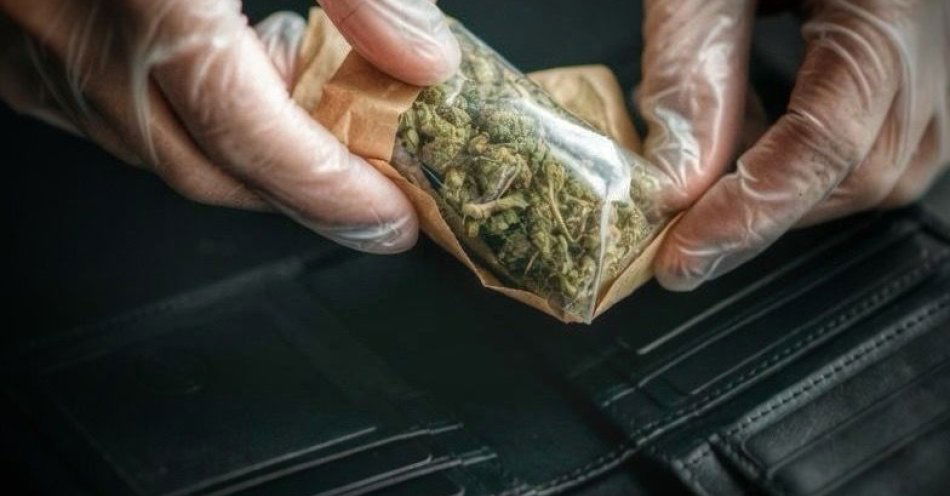 zdjęcie: Awantura w autobusie w Szczecinie zakończona narkotykami / fot. KMP w Szczecinie