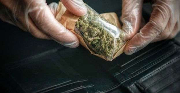 Awantura w autobusie w Szczecinie zakończona narkotykami