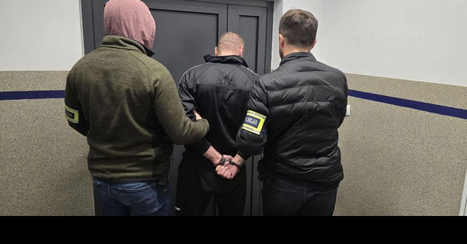 zdjęcie: Uprawiał konopie i prowadził auto po narkotykach / fot. KMP w Dąbrowie Górniczej