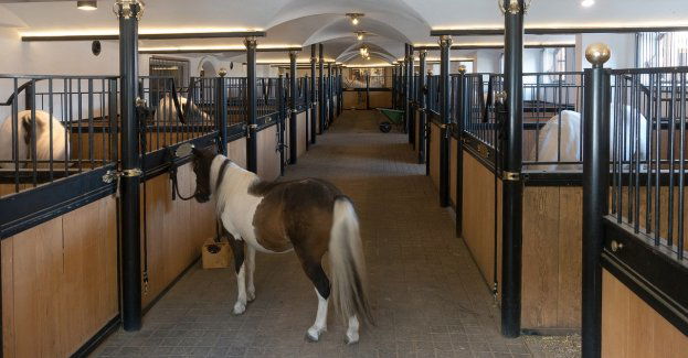 Strażacy dogaszają pożar stadniny koni w Bronkowie