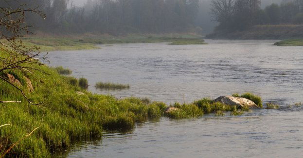 Dla odbudowy ekosystemu Odry - kluczowe ograniczenie zrzutu wód kopalnianych
