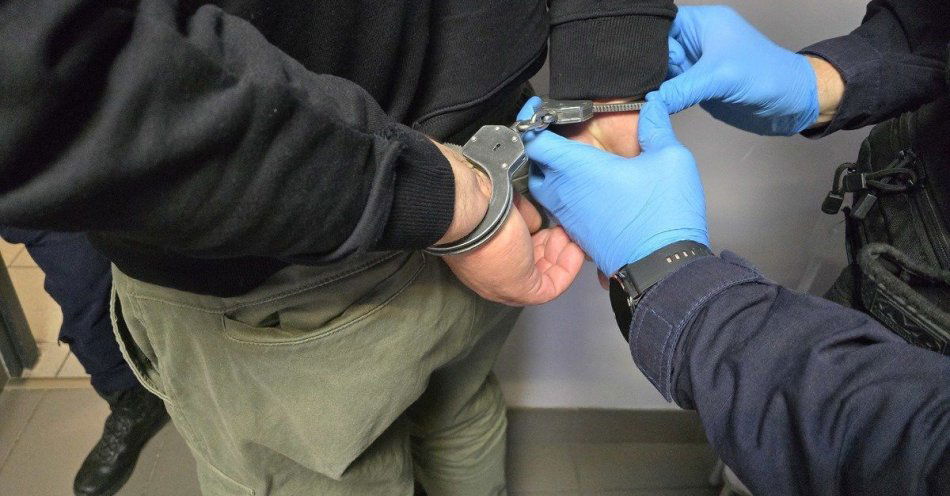 zdjęcie: Wpadł po serii kradzieży. Uczynił je stałym źródłem dochodu / fot. KMP w Jastrzębiu Zdroju