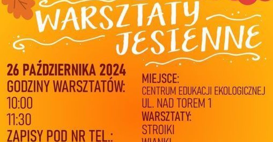 zdjęcie: Jesienne warsztaty z CEE / fot. UM Grudziądz