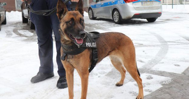 Zwierzęta też czują zimno