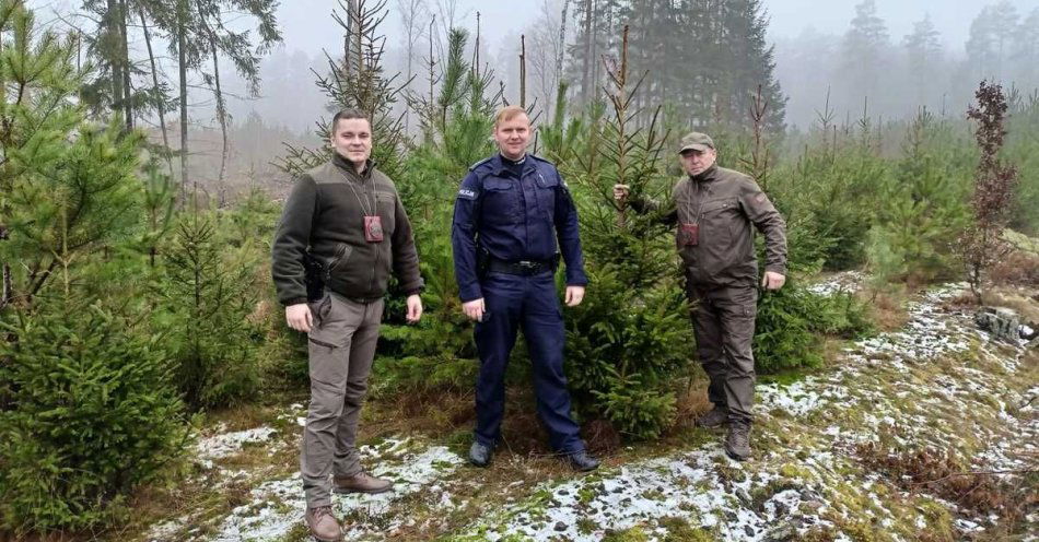 zdjęcie: Choinki pod kontrolą mundurowych / fot. KPP Czarnków