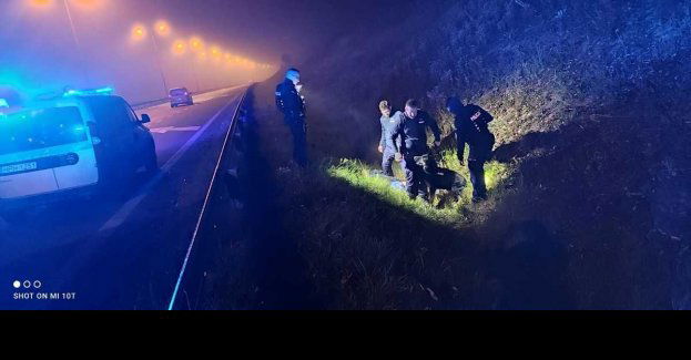 Przed policjantami ukrył się na drzewie. Wytropił go policyjny czworonóg