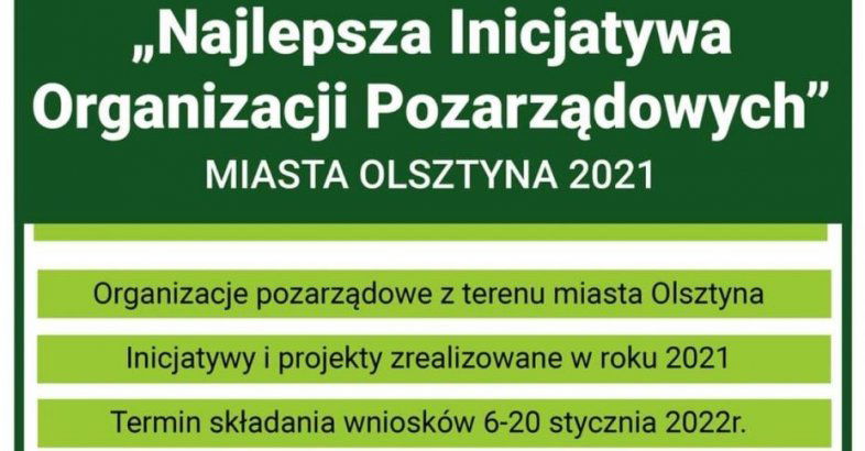 zdjęcie: Wybierz najlepszą inicjatywę pozarządową! / fot. nadeslane