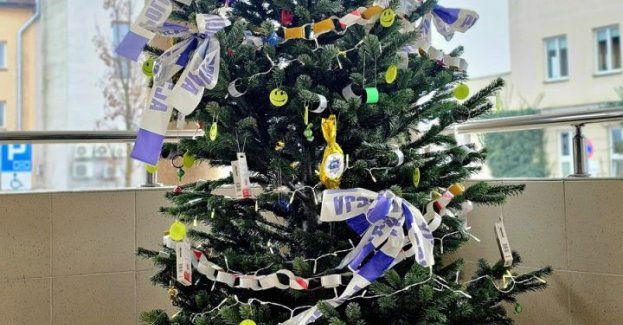 Odblaskowa choinka w Piasecznie znów świeci przykładem