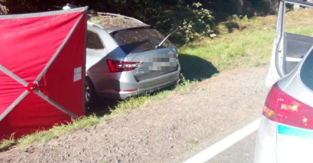 Samochód uderzył w łosia, a potem w drzewo. Kierowca zginął