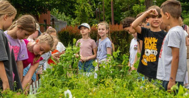 Podsumowanie warsztatów Mój ekowarzywnik w CEE