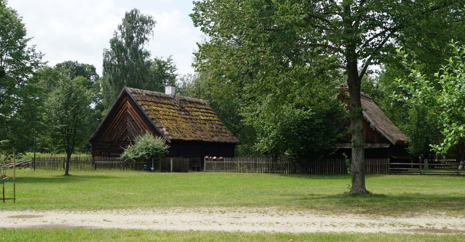 zdjęcie: Burmistrz Brodnicy rozstrzygnął konkurs / pixabay/2698787
