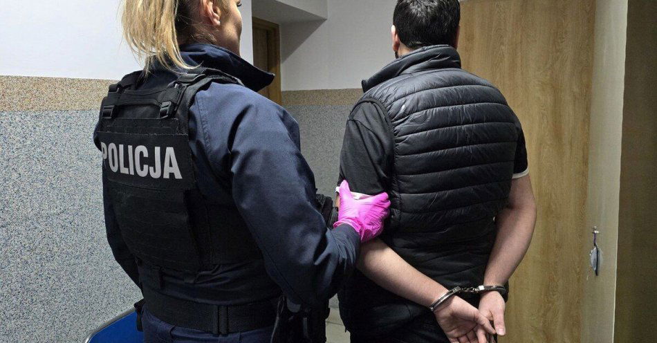 zdjęcie: Obywatel Gruzji zatrzymany w Pszczynie po serii przestępstw / fot. KPP w Pszczynie