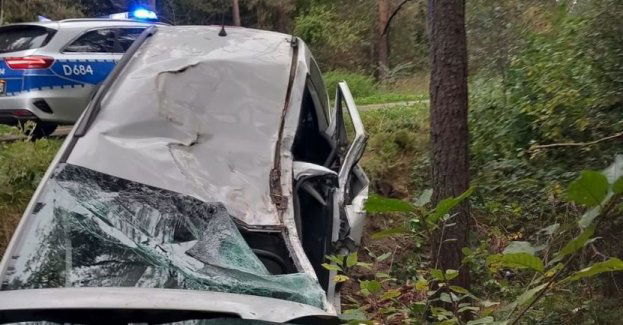 Alkohol i nadmierna prędkość przyczynami zdarzeń drogowych