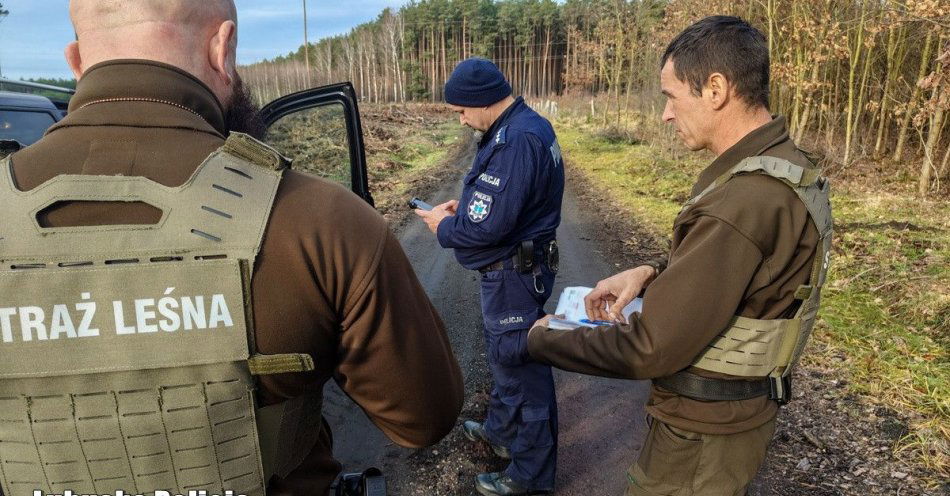 zdjęcie: Patrole Policji i Straży Leśnej chronią lasy przed nielegalną wycinką / fot. KPP Wschowa