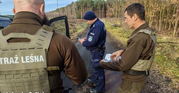 Patrole Policji i Straży Leśnej chronią lasy przed nielegalną wycinką