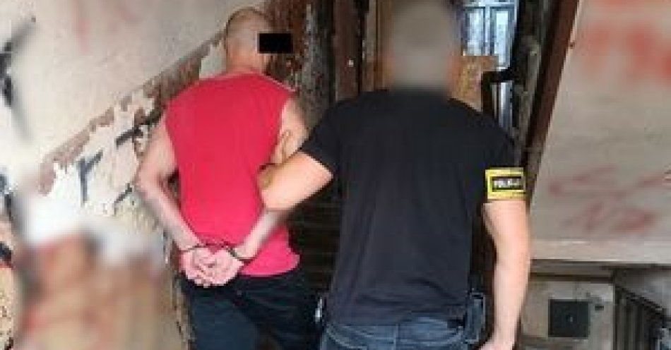 zdjęcie: Groził kierowcy bronią - został zatrzymany przez łódzkich policjantów / fot. KMP w Łodzi