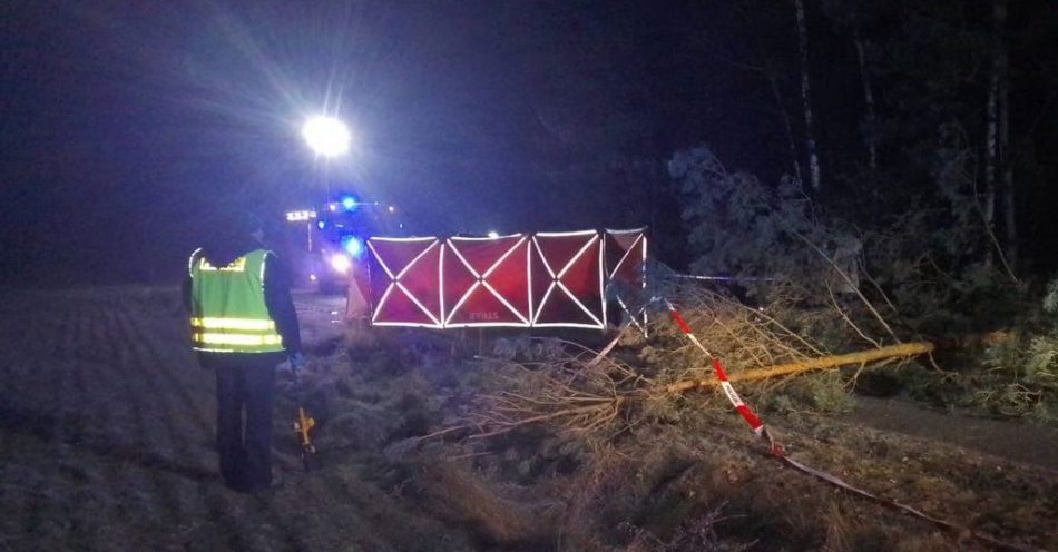 zdjęcie: Tragiczny wypadek / fot. KPP w Wieluniu