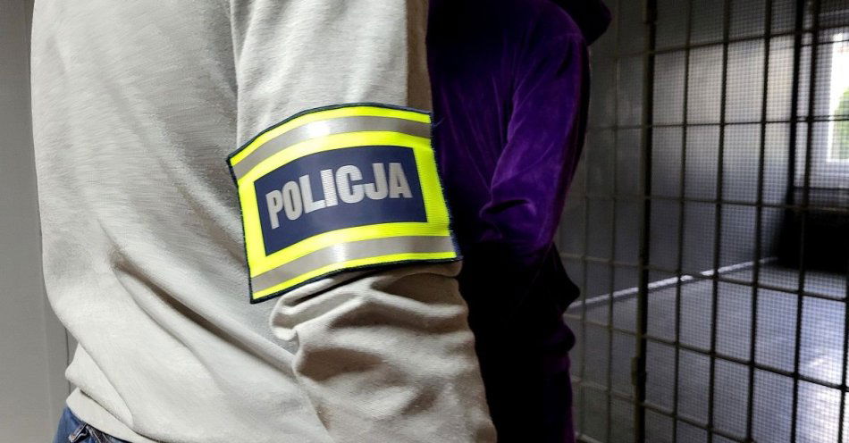 zdjęcie: Sprawcy pobicia nie unikną odpowiedzialności / fot. KPP w Świeciu