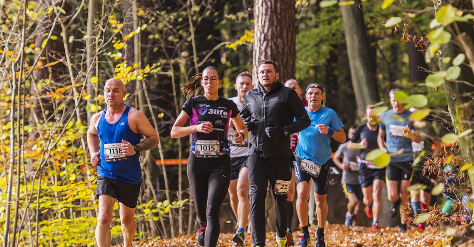 zdjęcie: CITY TRAIL: przełajowa piątka wraca do Olsztyna / fot. nadesłane