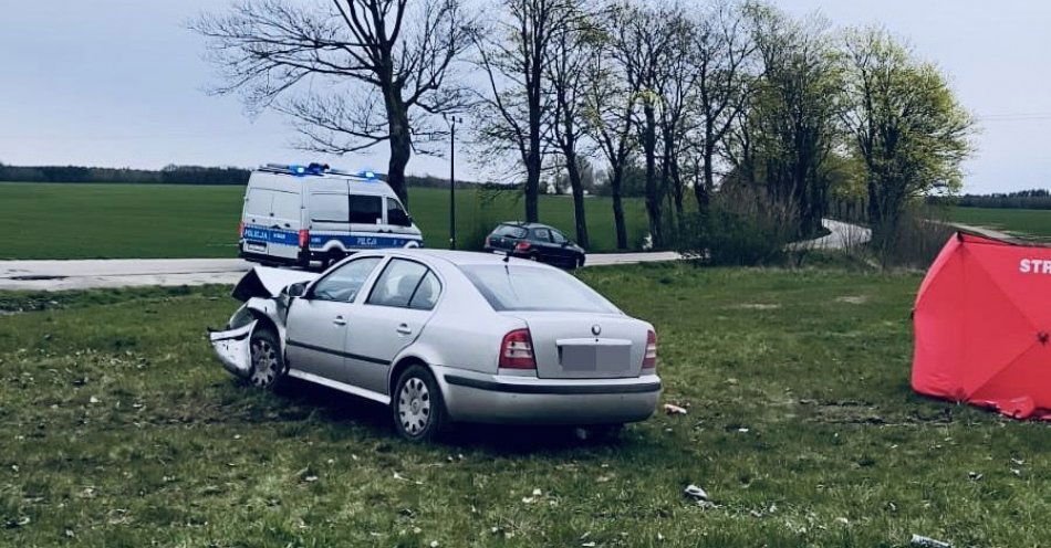 zdjęcie: Policjanci pracują na miejscu śmiertelnego wypadku w Gminie Główczyce. / fot. KMP w Słupsku