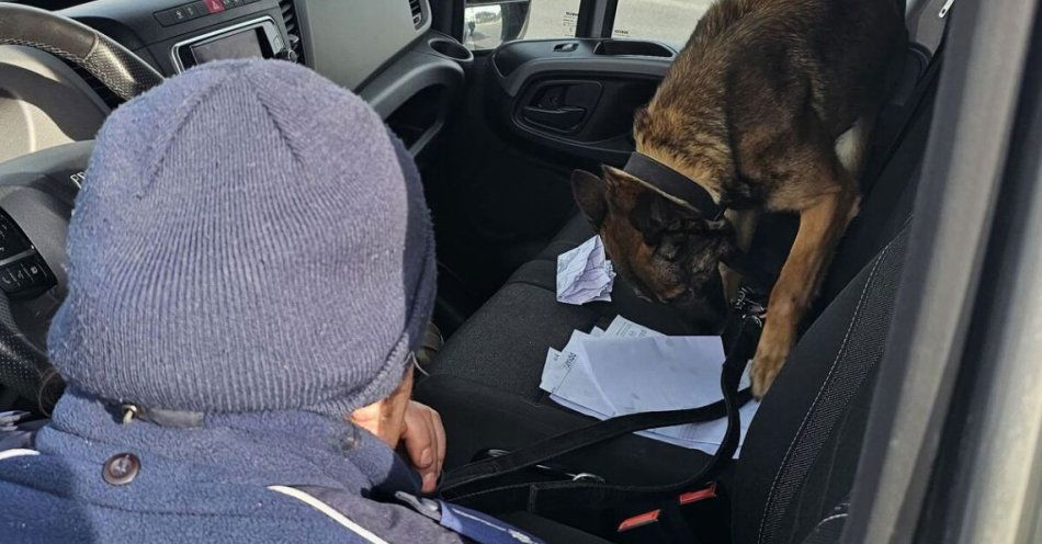 zdjęcie: Akcja Akcyza na A1: kontrole transportów i jedno zatrzymanie / fot. KPP Aleksandrów IMG-20260227-WA0090[1]