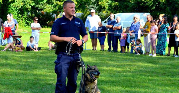 Praca w niebieskim mundurze
