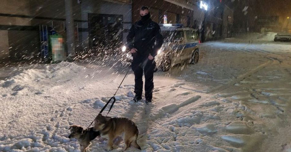 zdjęcie: Porzucone dwa psy w mrozie i podczas opadów śniegu / fot. KPP w Kartuzach