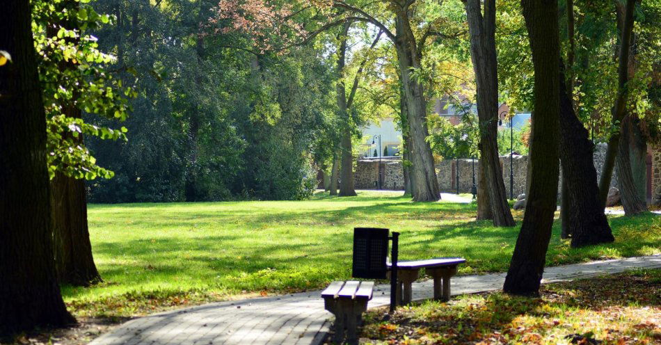 zdjęcie: Zostanie odnowiony zabytkowy park wokół DPS w Goślicach / v36368661