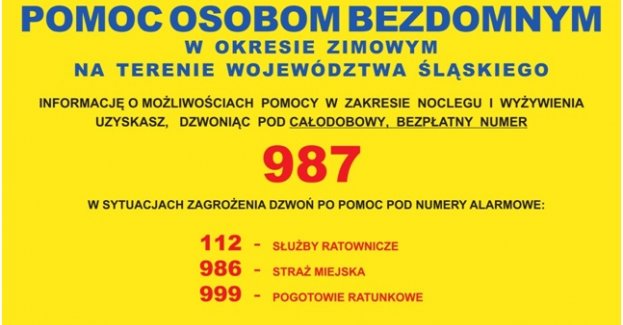 Pomoc osobom bezdomnym – bezpłatna infolinia