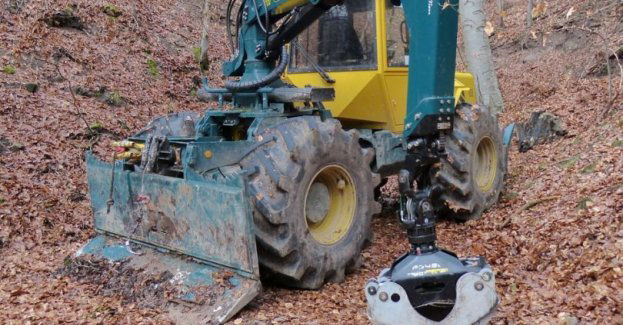 Zmarł mężczyzna przygnieciony przez drzewo