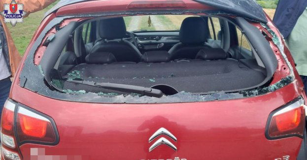 Konar spadł na przejeżdżający samochód