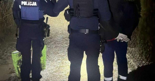 Włamywacz zatrzymany na gorącym uczynku w Pogodnie
