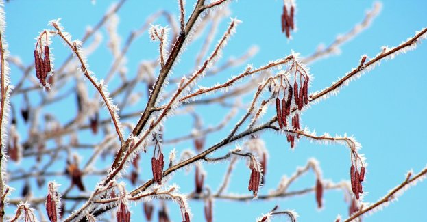 Ostrzeżenie IMGW przed przymrozkami