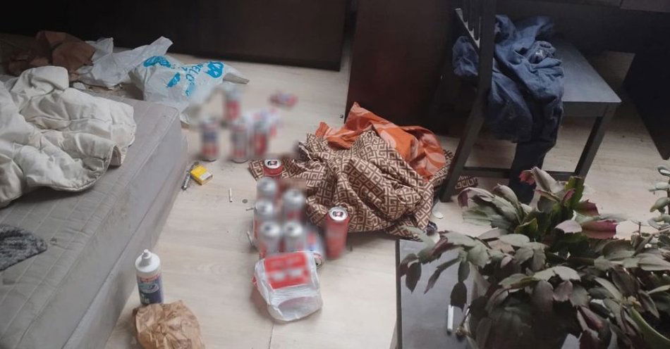 zdjęcie: 33-latek odpowie za znęcanie się nad zwierzętami / fot. KMP w Gdańsku