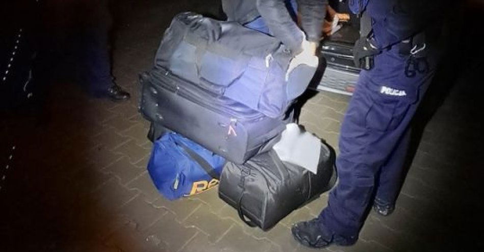 zdjęcie: Masowe kontrole w Przysusze ujawniły kierowców bez uprawnień / fot. KPP w Przysusze