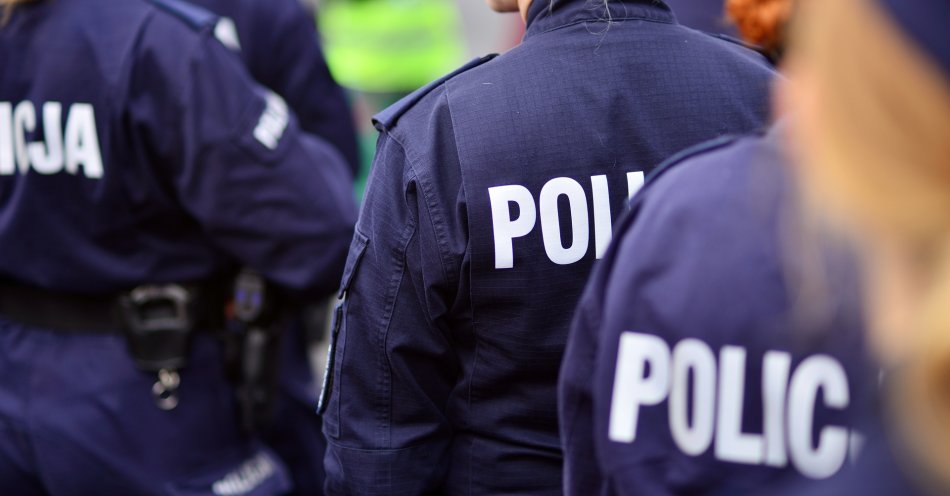 zdjęcie: Zarzut napaści autem na policjantów usłyszał mężczyzna zatrzymany w Bolkowie / v35077906
