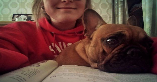 Wieniec laurowy (i pozostałe profity)