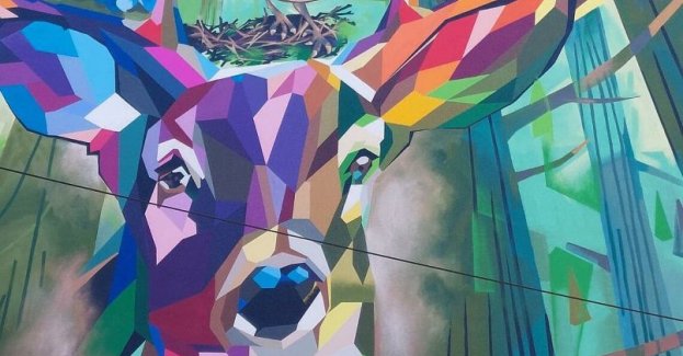 Rusza następny etap OBO