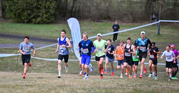 W Łodzi poznaliśmy medalistów tegorocznych AMP w biegach przełajowych. Słynna górka dała w kość