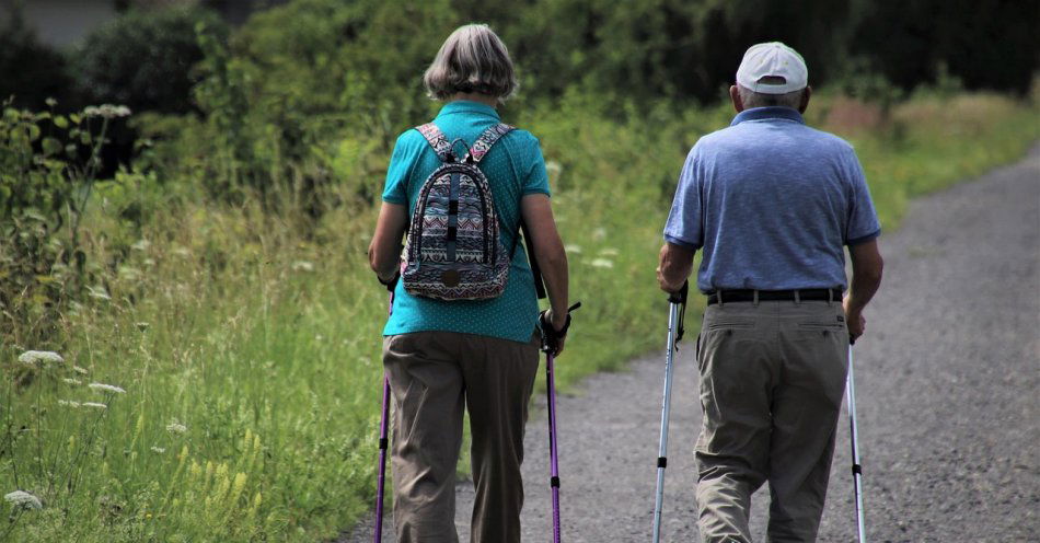 zdjęcie: Bezpłatne badania i rehabilitacja dla katowickich seniorów / pixabay/5357721